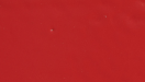 BERRY RED