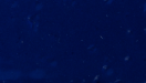 SUPERIOR BLUE
