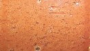Adobe Clay