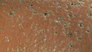 Fired Brick Red