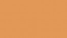 Rustic Orange