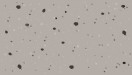 Peppered Gray