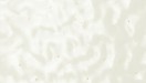 Ivory Mottle